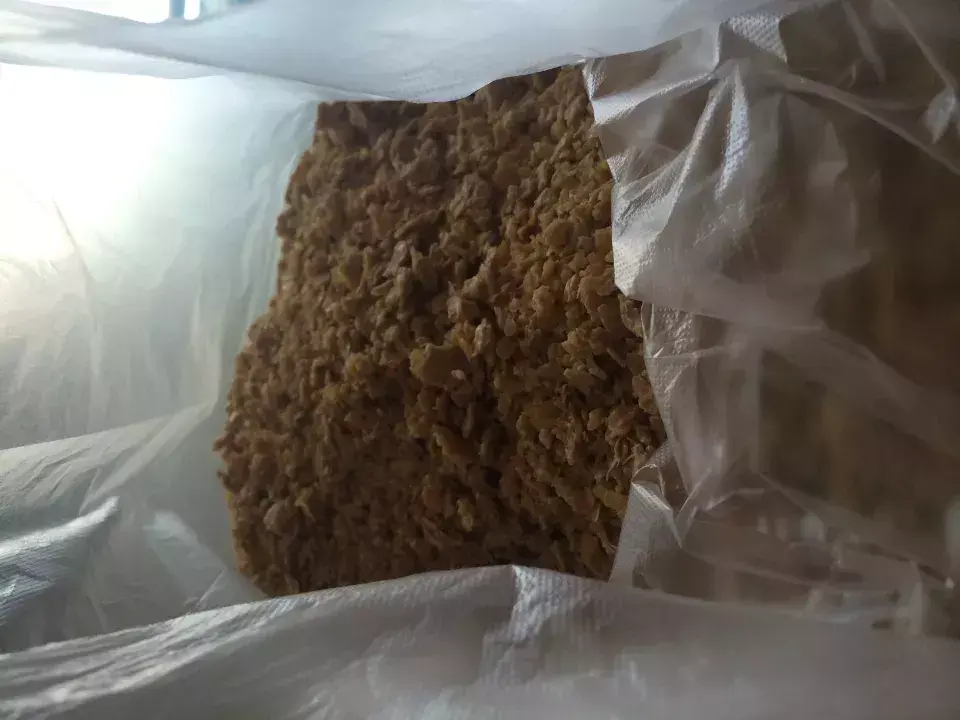 菜油直接放入花盆里,老花农不小心透露,花盆里倒3滴油,1个月爆盆,全年不用施肥