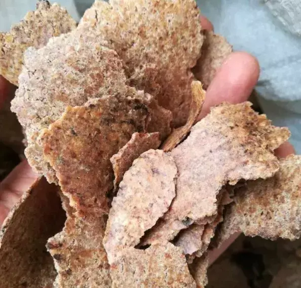 菜油直接放入花盆里,老花农不小心透露,花盆里倒3滴油,1个月爆盆,全年不用施肥