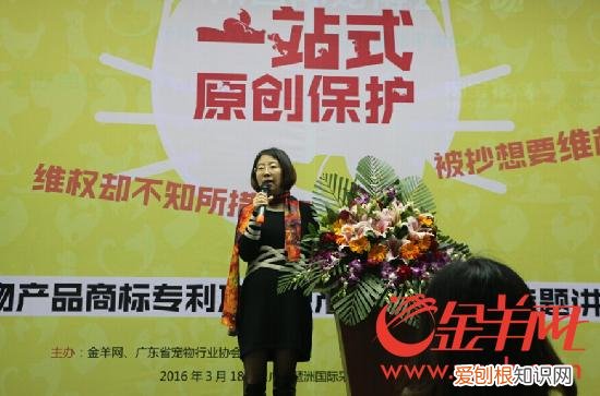 下架爆款对店铺的影响,爆款被抄不用怕 数字备案助推广东宠物业“原创”发展