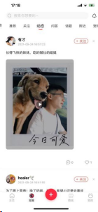 养宠物指南的app，养宠必备APP推荐丨衣食住行看病统统无忧
