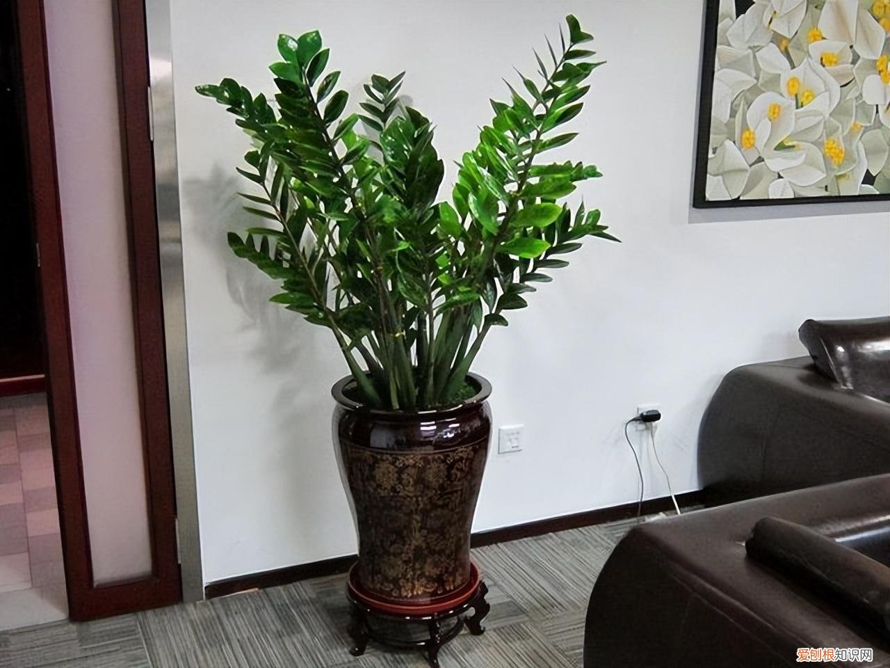吉利花好养吗有毒吗，8种“吉利”花，必须用“小花盆”养，才能长成精品