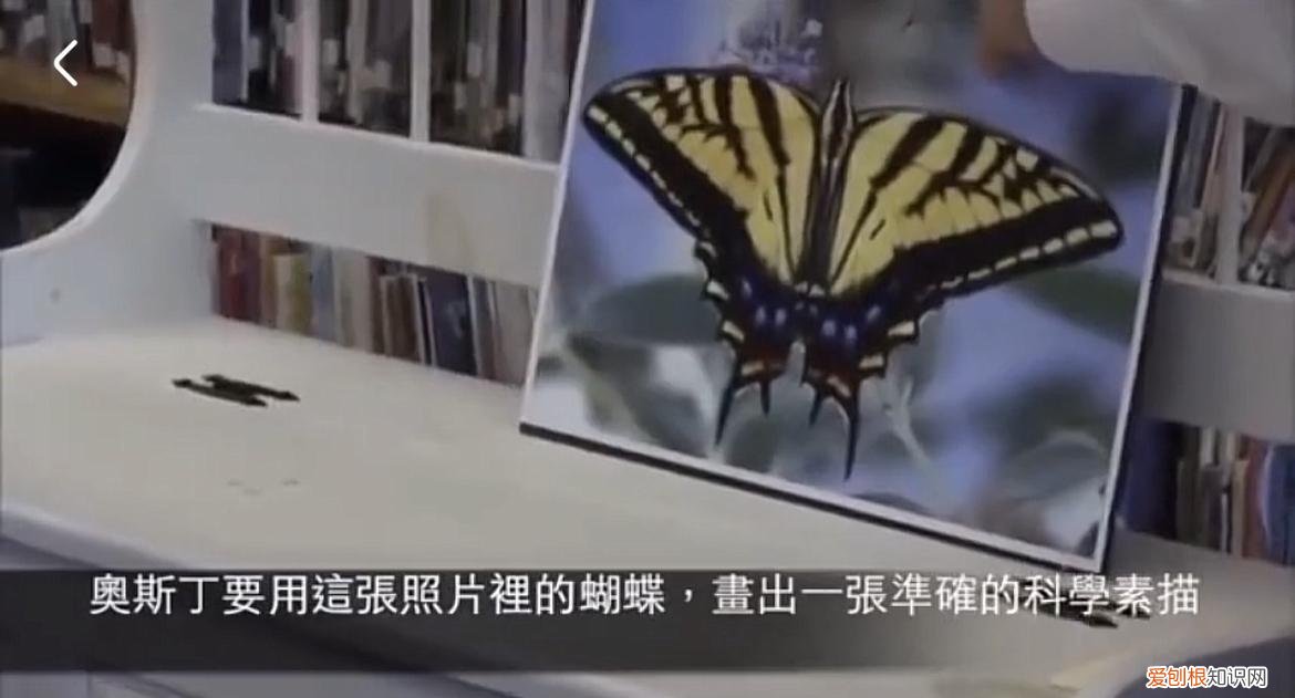 孩子的自信，努力做到这四点，培养出自信、有动力、不断进步的孩子