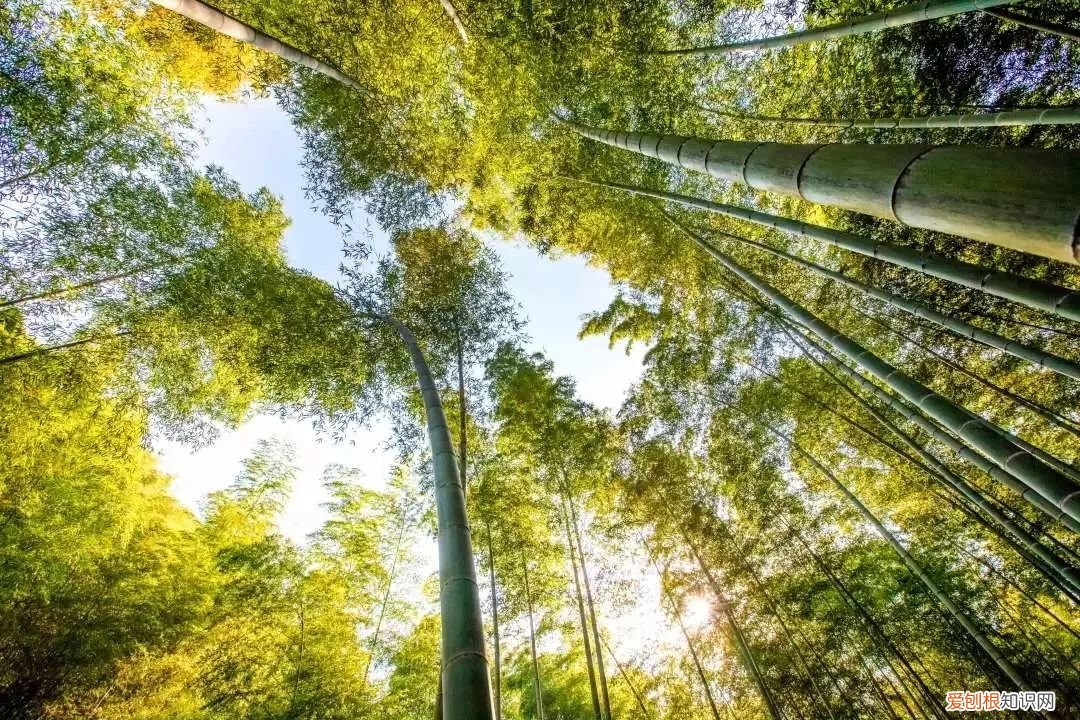 建议收藏 教育小孩的小故事怎么写，13个育儿小故事，用来教育孩子，太合适了！