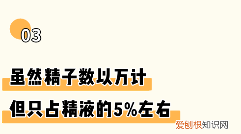 女生必看 因羞耻而湿掉的内裤,羞耻又湿漉漉的男性小知识…又增加了!