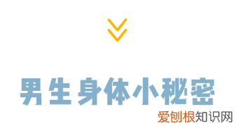 女生必看 因羞耻而湿掉的内裤,羞耻又湿漉漉的男性小知识…又增加了!