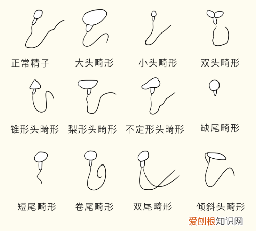 女生必看 因羞耻而湿掉的内裤,羞耻又湿漉漉的男性小知识…又增加了!