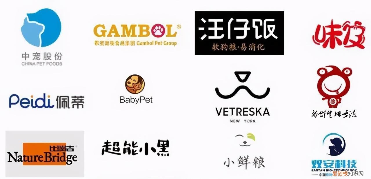 动物的商标，解码“宠物经济”：千亿市场，专利、商标成入行“硬指标”