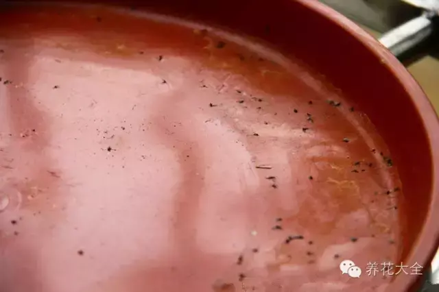 最有效的对付小黑飞的方法，高招｜教你彻底消灭恼人的小黑飞
