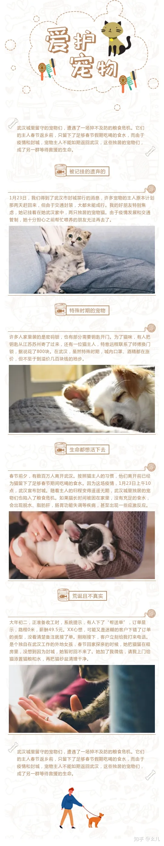 萌宠指南公众号，教你十分钟搞定一篇萌宠主题的公众号图文排版