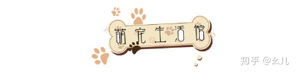 宠物公众号介绍怎么写，宠物类微信公众号文章排版十大经典素材