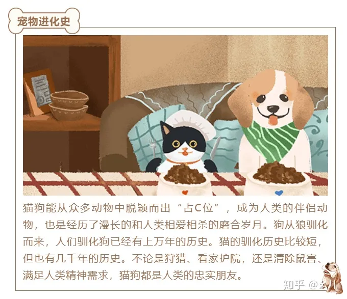 宠物公众号介绍怎么写，宠物类的微信公众号图文怎样排版可以提高阅读量？