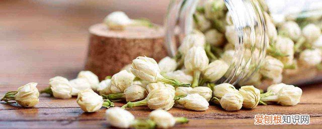 孕妇可以喝茉莉花茶吗 孕妇能不能喝茉莉花茶