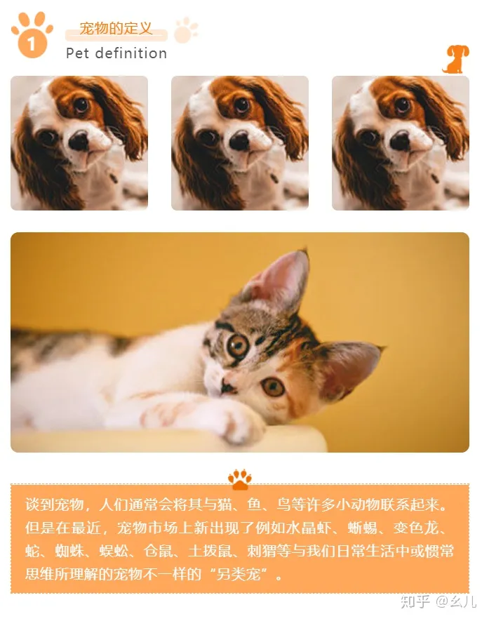 养宠物的公众号有哪些，宠物相关的微信公众号图文还能这样排版？萌化了