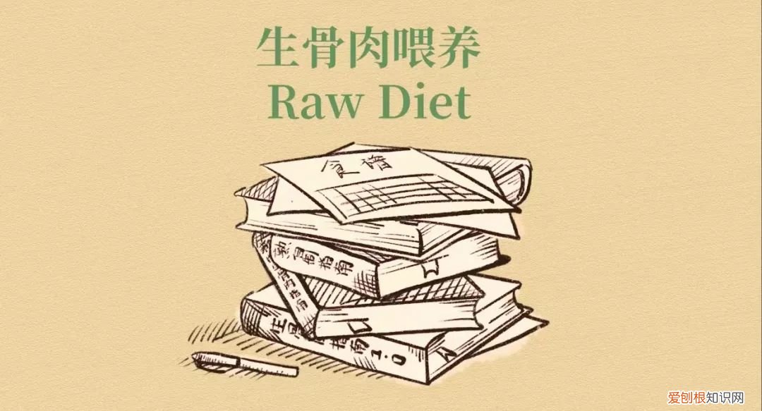 水头宠物公司，头部宠物自媒体「RawMeat」布局湿粮赛道，创立品牌Purrja扑呀