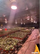 快手年薪30万，从月薪几千到年薪数十万：被快手改变命运的养花少年