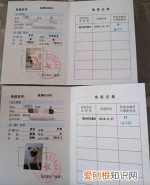 警告：“小区已经申领2000包毒狗粮，毒死狗后果自负！”，小区毒狗事件最新版