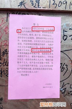 警告：“小区已经申领2000包毒狗粮，毒死狗后果自负！”，小区毒狗事件最新版