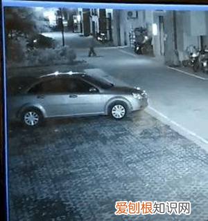 警告：“小区已经申领2000包毒狗粮，毒死狗后果自负！”，小区毒狗事件最新版