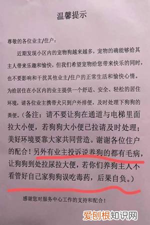 警告：“小区已经申领2000包毒狗粮，毒死狗后果自负！”，小区毒狗事件最新版
