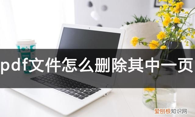 pdf文件怎么删除其中一页?简单方式分享