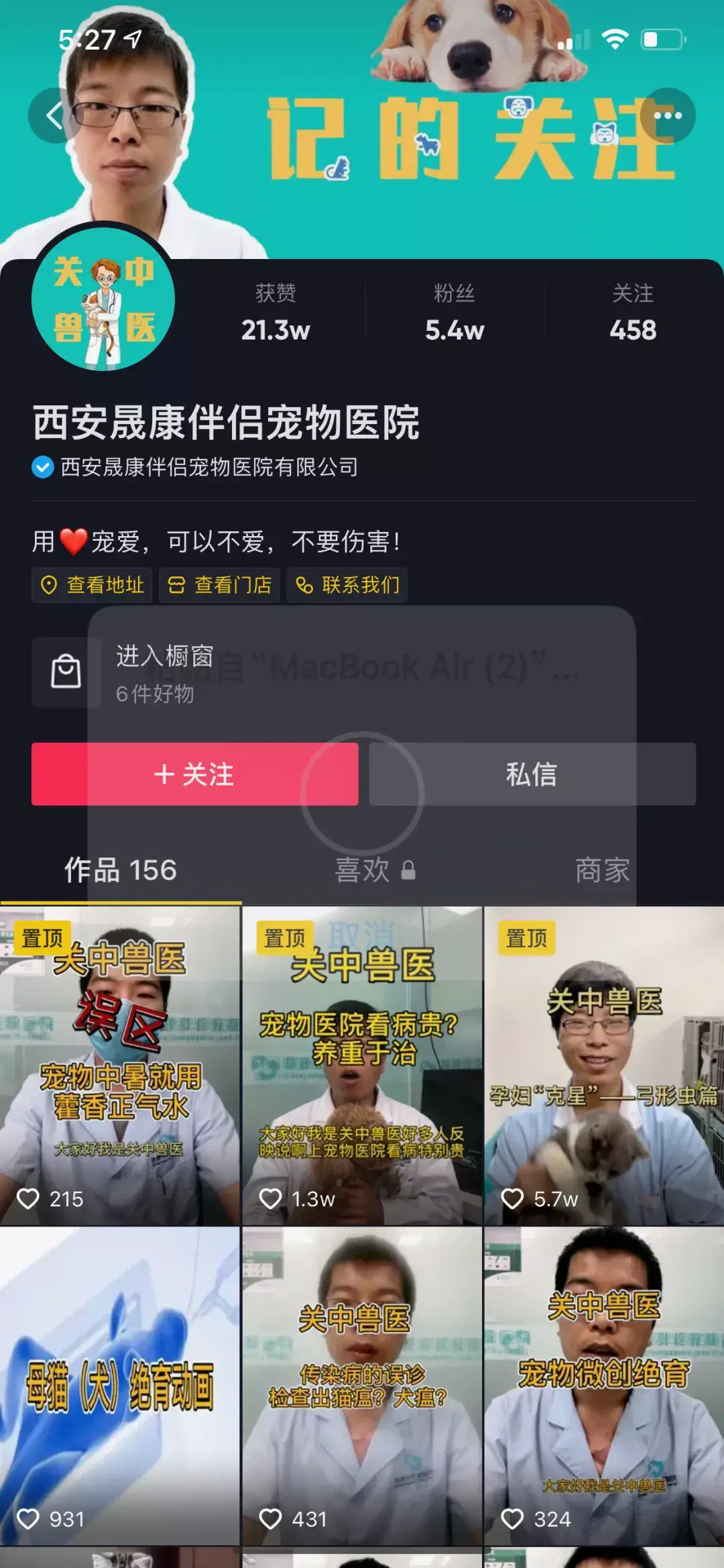 养宠物狗怎么养,这五个宠物达人中,有一位分享了十年养宠心得|宠业新流量