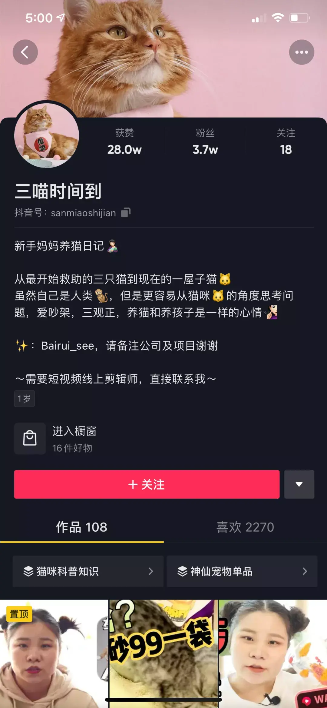 养宠物狗怎么养,这五个宠物达人中,有一位分享了十年养宠心得|宠业新流量