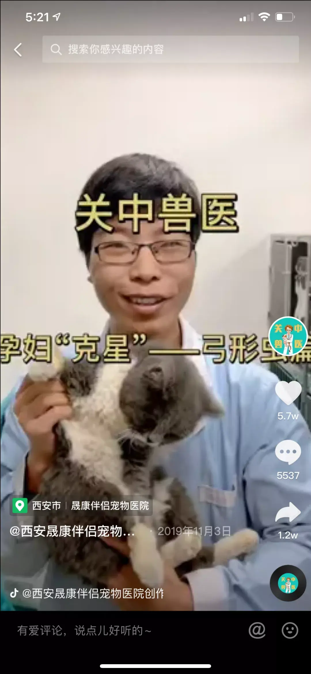 养宠物狗怎么养,这五个宠物达人中,有一位分享了十年养宠心得|宠业新流量