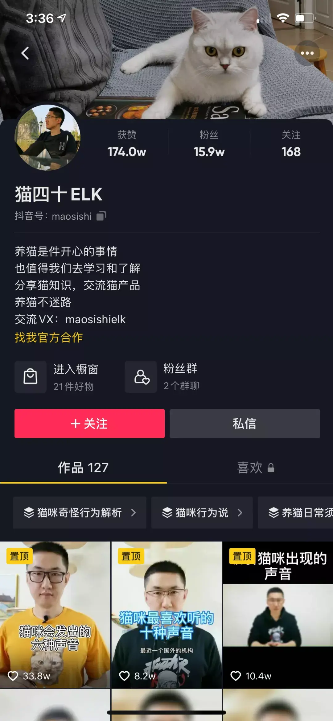 养宠物狗怎么养,这五个宠物达人中,有一位分享了十年养宠心得|宠业新流量