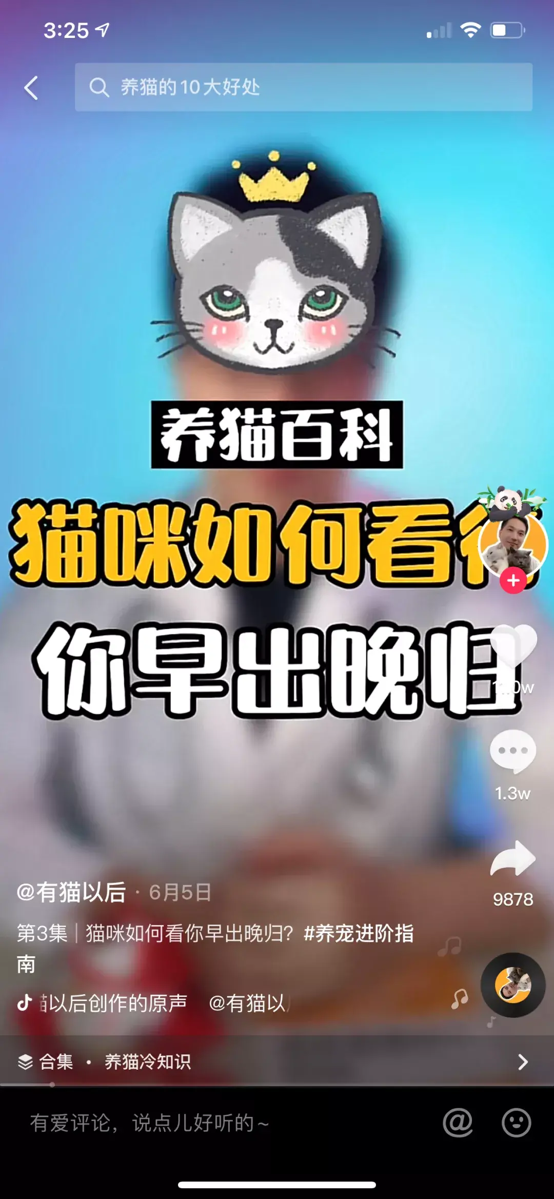 养宠物狗怎么养,这五个宠物达人中,有一位分享了十年养宠心得|宠业新流量