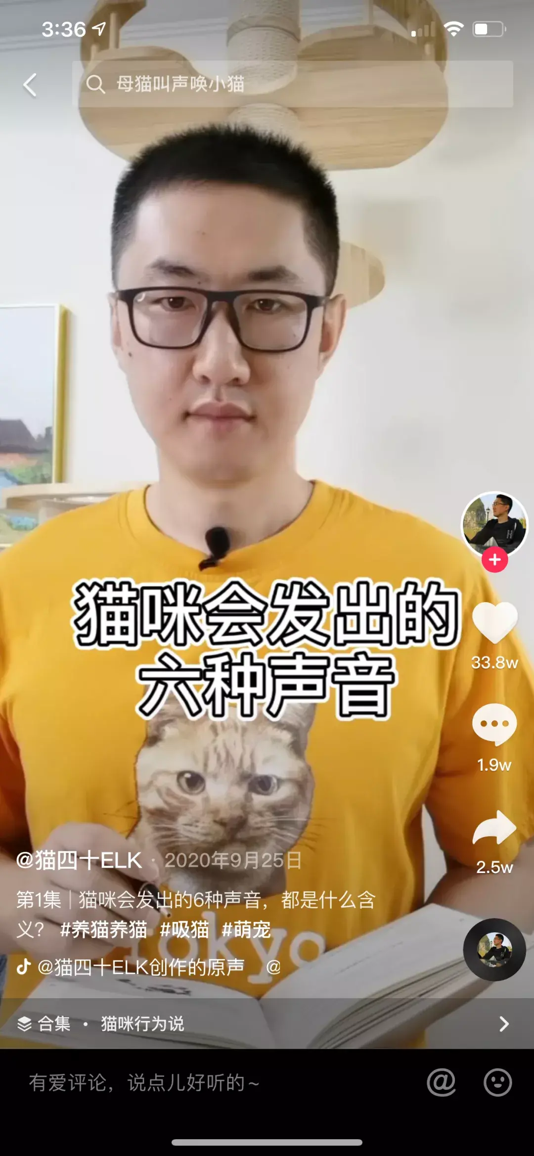 养宠物狗怎么养,这五个宠物达人中,有一位分享了十年养宠心得|宠业新流量