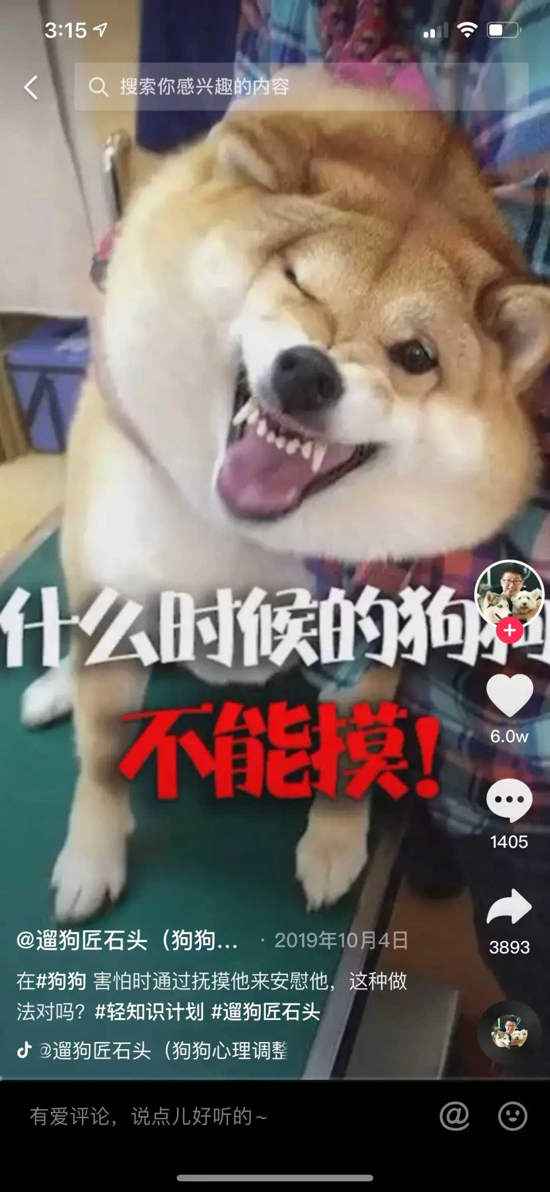 养宠物狗怎么养,这五个宠物达人中,有一位分享了十年养宠心得|宠业新流量