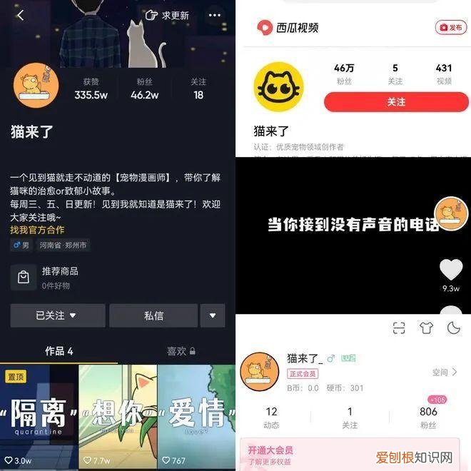 宠物行业媒体联盟在京成立时间，智囊 | 宠物经济崛起，宠物自媒体如何定位与转型？