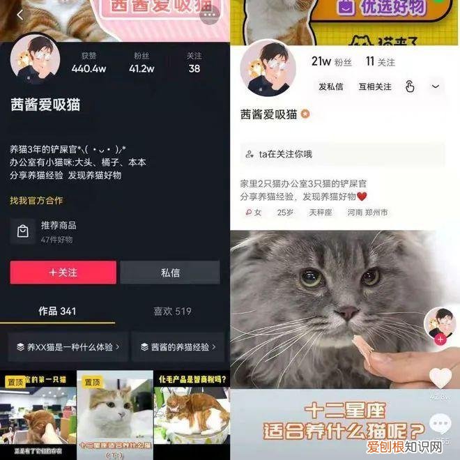 宠物行业媒体联盟在京成立时间，智囊 | 宠物经济崛起，宠物自媒体如何定位与转型？