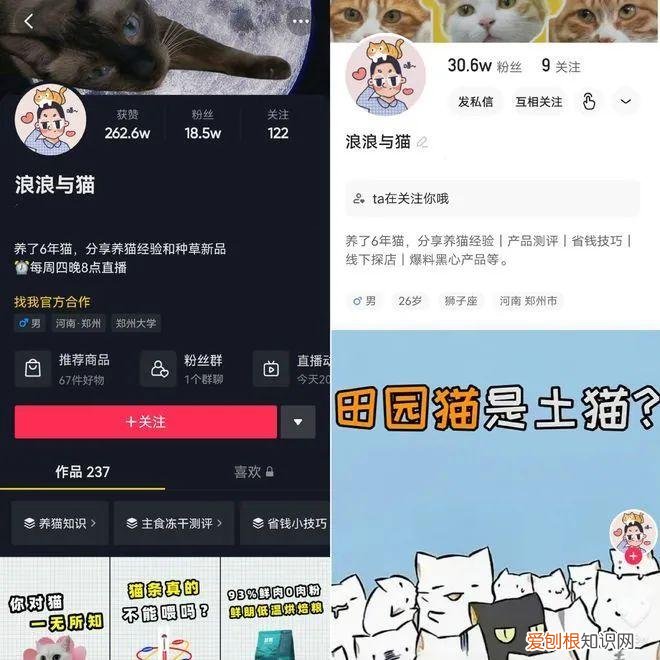 宠物行业媒体联盟在京成立时间，智囊 | 宠物经济崛起，宠物自媒体如何定位与转型？