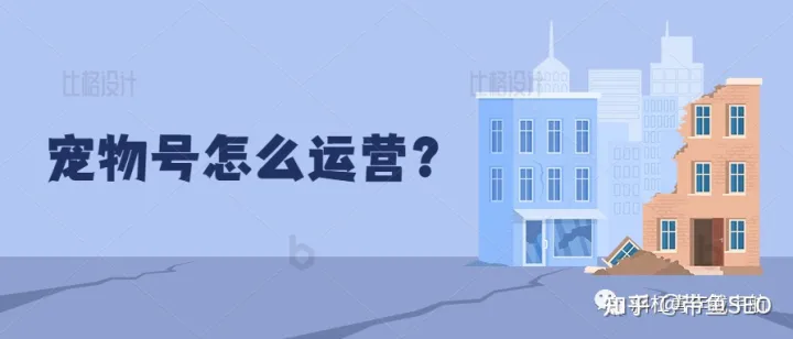 宠物号运营，宠物号怎么做，分享我自己的运营秘诀