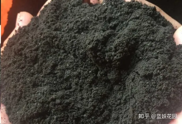 花盆里放什么不烂根不黄叶，阳台养花，肥料这样用，盆土不板结，花花不黄叶还蹭蹭长！