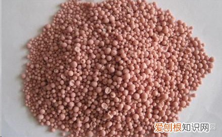 花盆里放什么不烂根不黄叶，阳台养花，肥料这样用，盆土不板结，花花不黄叶还蹭蹭长！