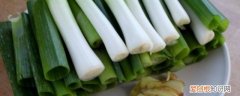 坐月子可以吃葱? 坐月子能吃葱吗《坐月子可以吃葱吗》