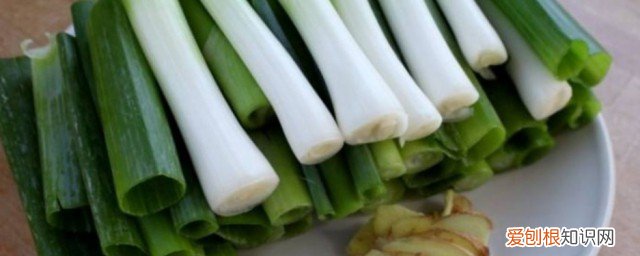 坐月子可以吃葱? 坐月子能吃葱吗《坐月子可以吃葱吗》