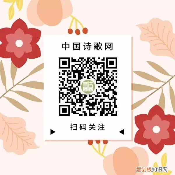 推荐看书的公众号,荐号 | 如果你看书的时间越来越少,关注这几个公众号