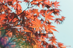 推荐看书的公众号，荐号 | 如果你看书的时间越来越少，关注这几个公众号