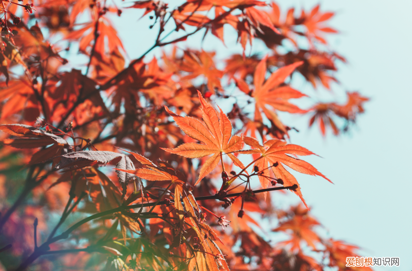 推荐看书的公众号,荐号 | 如果你看书的时间越来越少,关注这几个公众号