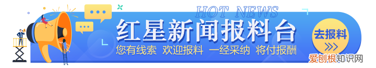 你也被丢掉了吗,评论丨“丢那猩”独臂猴走红,善待动物理解它们不被打扰的权利