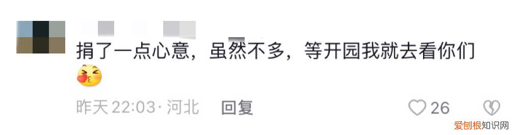 红山森林动物园有什么，红山动物园开直播，为了维生让豹子卖屁股？网友欲罢不能：多来点