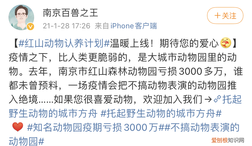 红山森林动物园有什么，红山动物园开直播，为了维生让豹子卖屁股？网友欲罢不能：多来点