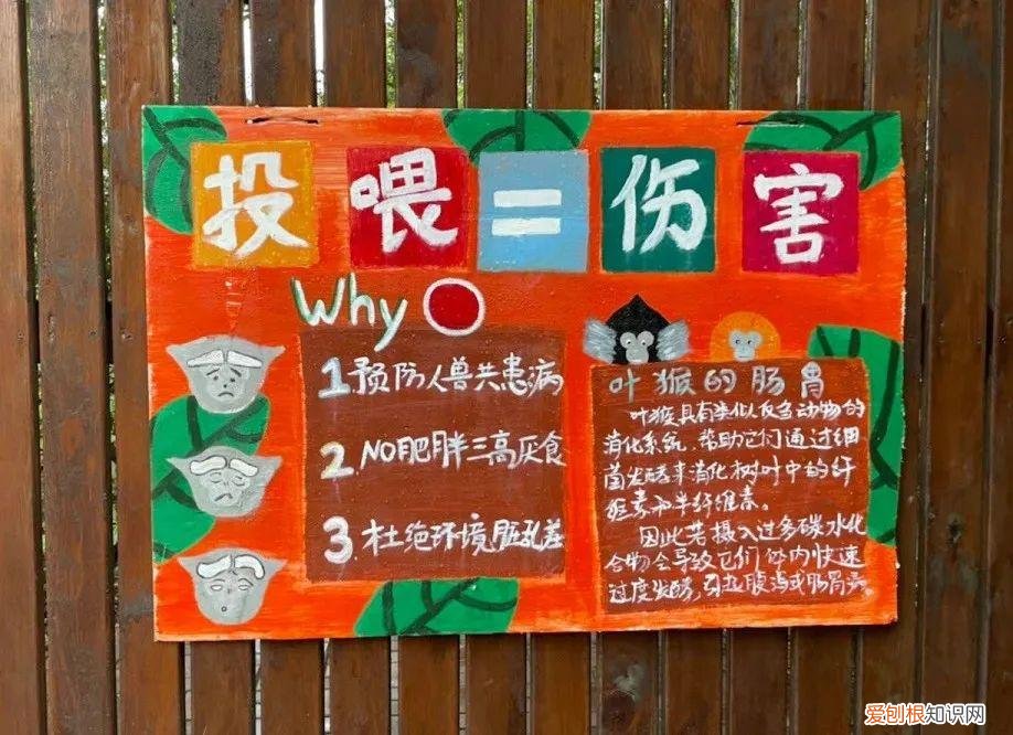 红山森林动物园有什么，红山动物园开直播，为了维生让豹子卖屁股？网友欲罢不能：多来点