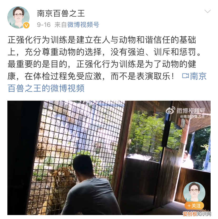 红山森林动物园有什么，红山动物园开直播，为了维生让豹子卖屁股？网友欲罢不能：多来点