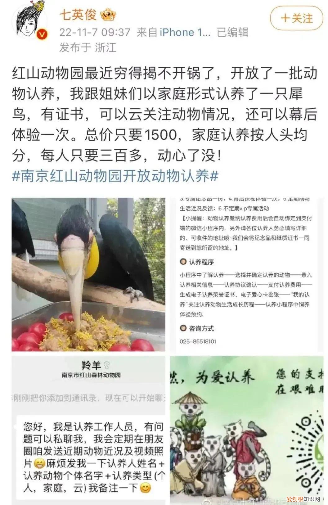 红山森林动物园有什么，红山动物园开直播，为了维生让豹子卖屁股？网友欲罢不能：多来点