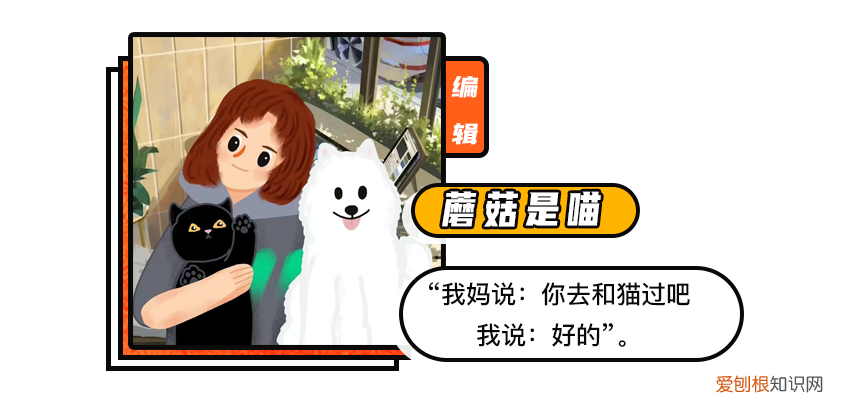 红山森林动物园有什么，红山动物园开直播，为了维生让豹子卖屁股？网友欲罢不能：多来点