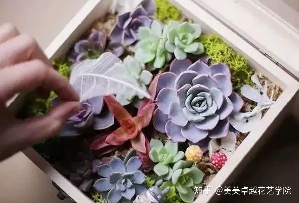 鲜花到了如何养护,不同的鲜花应该怎样去养护?花艺师必修技巧